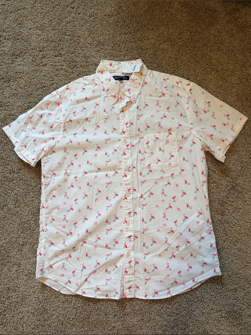 Short sleeve button down